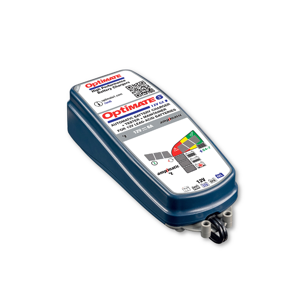 Daisy on the Ohoopee